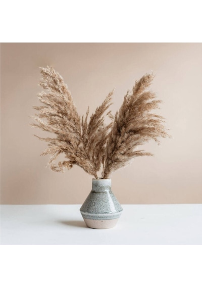 Dekoratif Pampas 7'li Kuru Çiçek Nocolor-1474d95e