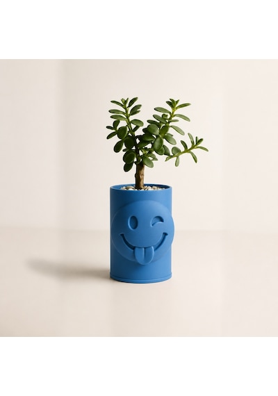 3d Baskı Emoji Planter - Göz Kırpan Yüzlü Sukulent Saksısı-mavi