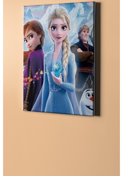 Webstyle Sayılarla Boyama Seti Kasnaklı Elsa 40 X 50 Cm