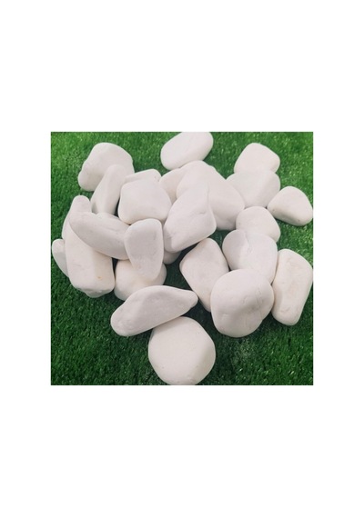 Asenya Dolomit Taş 50 Kg 2-4 Cm Beyaz Dolomit Taş Saksı Dibi Dekoratif Taş Bahçe Süsleme Taşı Peyzaj Taşı