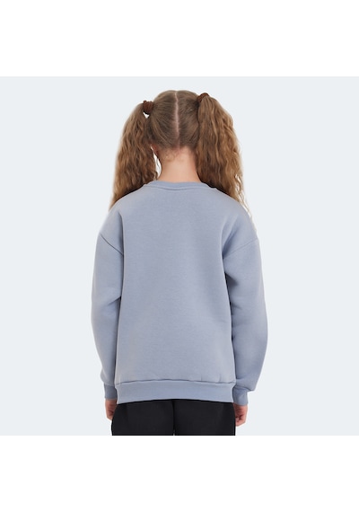 Slazenger LONE Çocuk  Taş Gri Sweatshirt