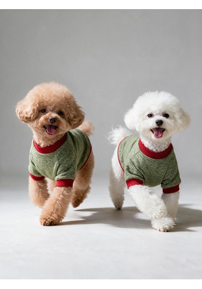 Çilek Tadında Köpek Sweatshirt Kırmızı Yeşil - Sıcacık