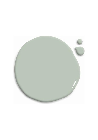 Whynot Yeşil Duvar Boyası - Olive Grove 2,5litre 0.2 KG