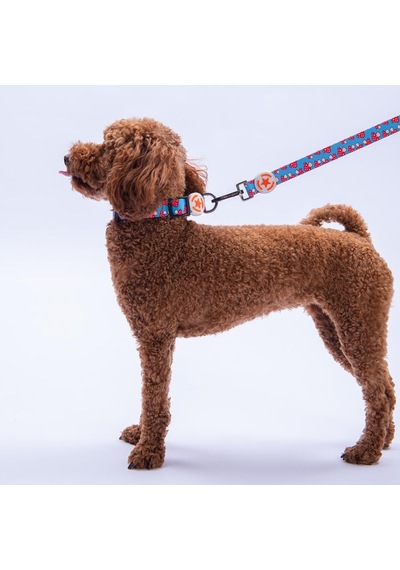 Mushroom Mantar Desenli Köpek Boyun Tasması Ayarlanabilir Köpek Tasması S Kırmızı