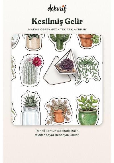 Kaktüs Ve Sukulent Sticker Seti 100 Adet - Saksı Bitki Çöl Çiçeği Botanik Ajanda Journal Çıkartma Çok Renkli