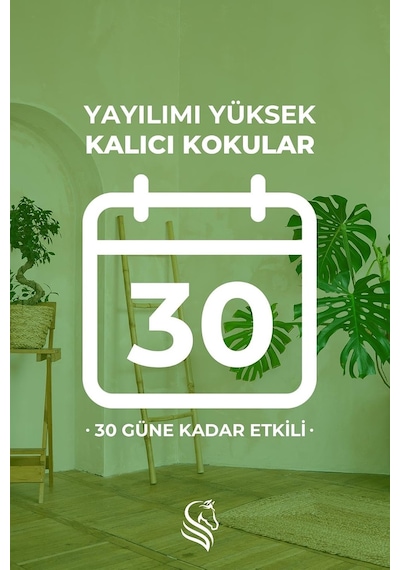 Sandal Ağacı Çubuklu Oda Kokusu Sandalwood Reed Diffuser 100ml Diğer