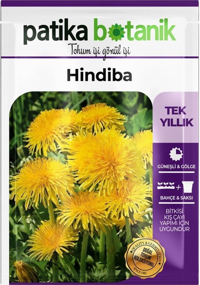 500 Adet Hindiba Tohumu