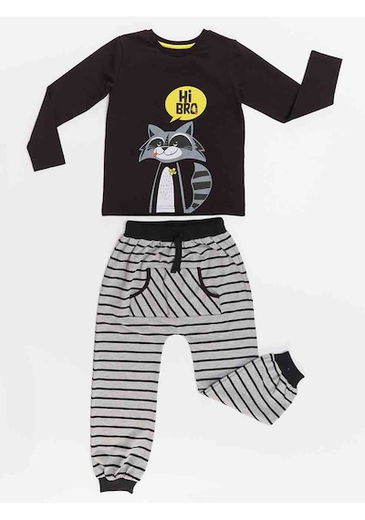 Denokids Rakun Erkek Çocuk T-shirt Pantolon Takım