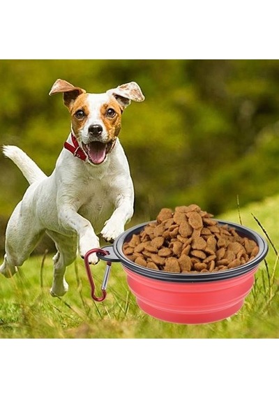 Büro Ev Evcil Hayvanı İçin Katlanır Kedi Köpek Mama Su Haznesi