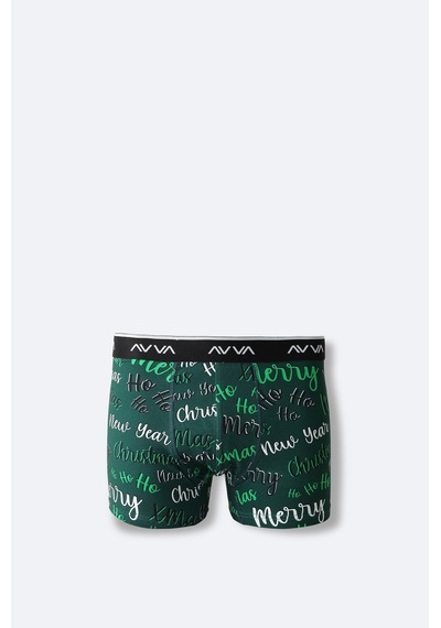 Avva Erkek Yeşil Yılbaşı Desenli Özel Kutulu Tekli Regular Fit Boxer A42y9520