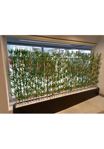 320 Cm Saksıda 170 Cm Bambu Sperator Yeşil