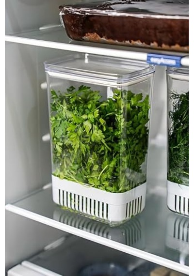 Tr Saklama Kabı - Uzun Süre Taze Tutma Herb Keeper Sebze Saklama Kabı Diğer