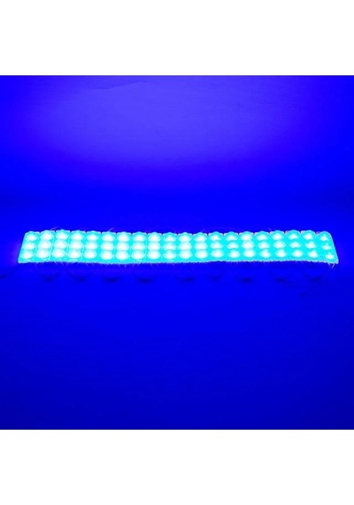 Powermaster 12 Volt 1.5 Watt Mavi 2835 69 X 16 Mm Ip65 160 180 Lümen 160 Derece Modül Led