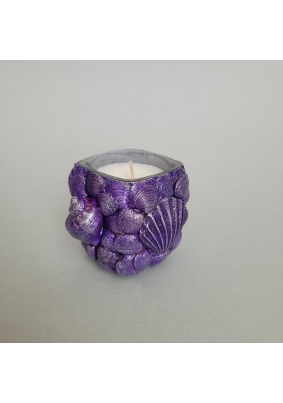 Âric Mor Deniz Kabuklu Bardakta Dekoratif Soya Wax Mum 009