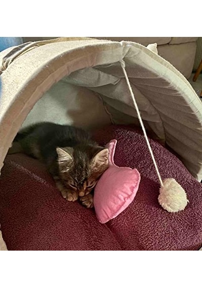 Tineke Kedi Ve Köpek Battaniyesi Yumuşak Welsoft Peluş Yıkanabilir 1 Adet Fuşya Küçük Boy 80x60 Acı Kahve - Pembe
