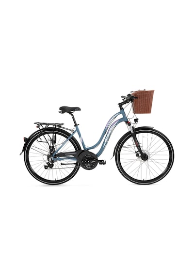 Bisan Ctx 6300 Şehir Bisikleti 46 Cm Disk Fren 28 Jant 21 Vites Gri Pembe Gri