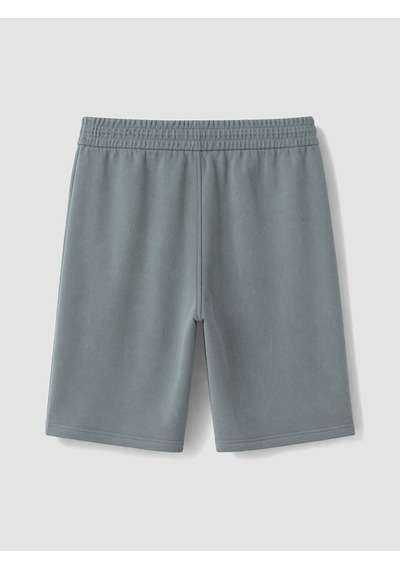 Lcwaıkıkı Classic Yeşil Regular Fit Erkek Şort