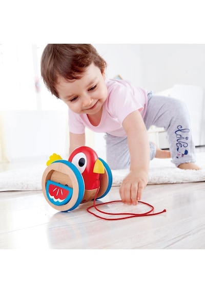 Hape Çek Çek Kuş
