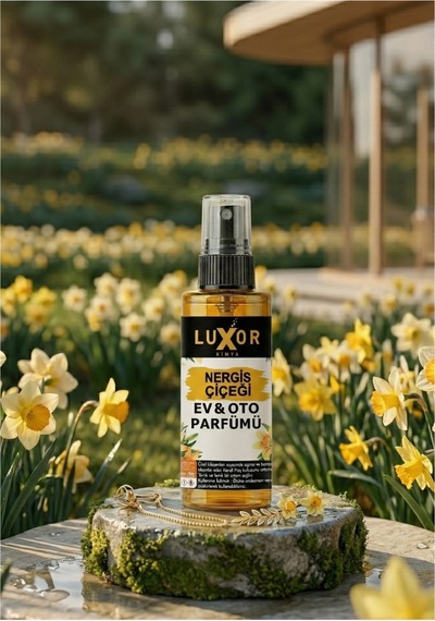 Luxor Kimya Nergis Ev Ve Oto Kokusu 200 Ml