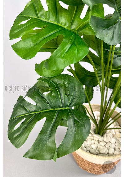 Yapay Monstera Deve Tabani 65 Cm Hasir Saksıda Krem