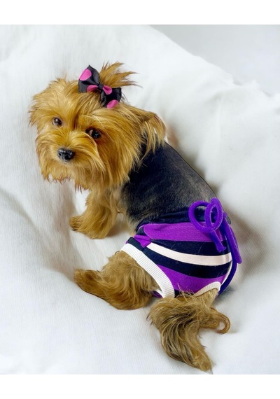 Kemique Modern Purp Kemique's Secret Köpek İç Çamaşırı Regl Külot