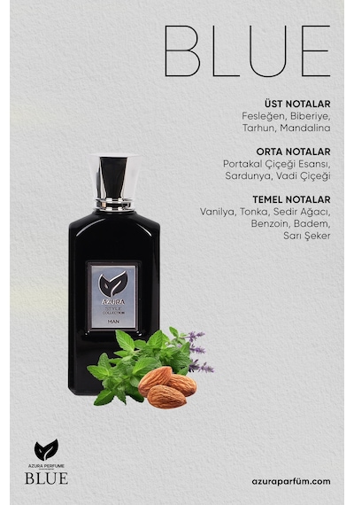 Azura E11 Style Erkek Parfüm EDP 60 ML