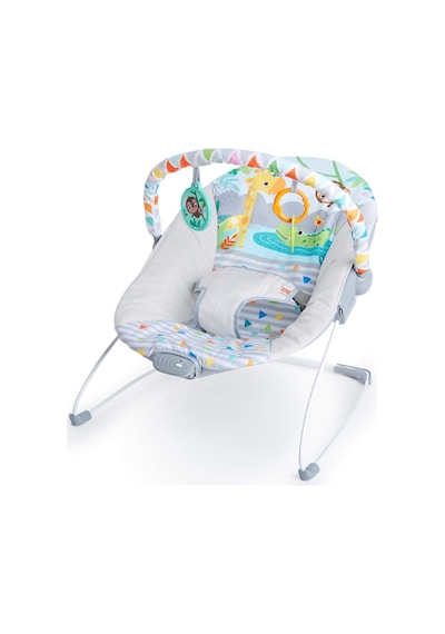 Bright Starts Bebek Salıncağı, Rahatlatıcı Titreşimli Bebek Ana Kucağı