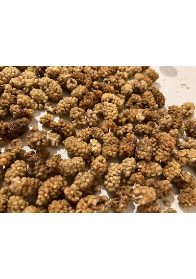 Baş Değirmenler İzmir Torbalı Doğal Beyaz Dut Kurusu 250 G