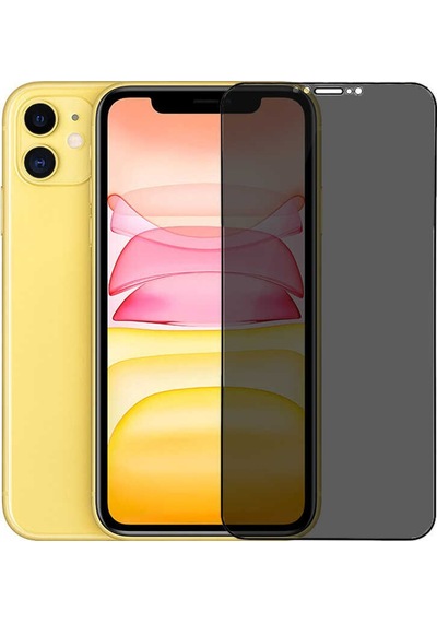 Go-Des Apple Uyumlu iPhone 12 Go Des Hayalet Gizli Ekran Koruyucu ZORE-216944 Siyah