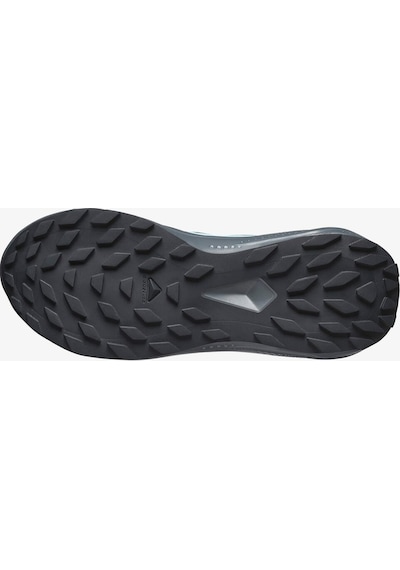 Salomon Kadın Koşu/fıtness Ayakkabı Alphaglıde Gore-tex L47802500 Gri