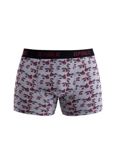 Jepublic Erkek Boxer-j232502 Gri