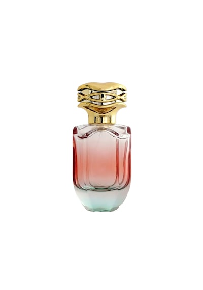 15 Adet Boş Cam Parfüm Şişe, 50 Ml, Su Yeşili-kırmızı Degrade Model, Şeffaf,