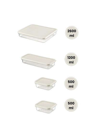 Flora 4 Lü Dondurucu Saklama Kabı Seti, Buzdolabı Difriz Erzak Gıda Düzenleyici Set 2600,1200,500,500ml Şeffaf