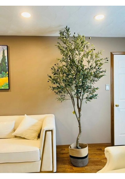 Yapay Zeytin Ağacı Lüx 240cm Doğal Gövdeli Gerçek Görünümlü Yapay Ağaç