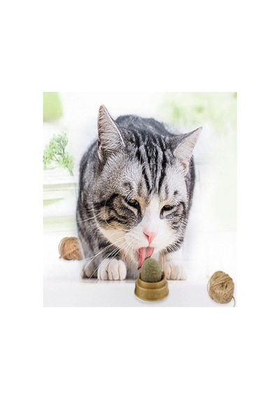 Safestore Kedi Nanesi Cat Mint Oyun Topu