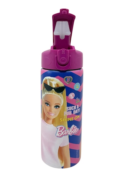 Barbie 600 Ml Çelik Matara 3451 Çok Renkli