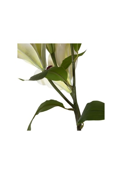 Concept Zarif Zambak Çiçeği Beyaz 75cm