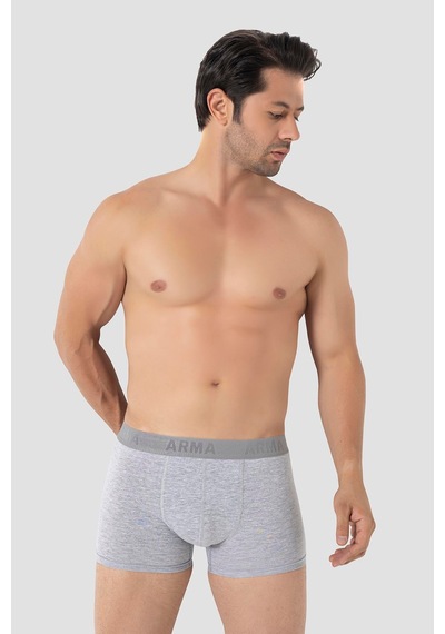 Arma Yıldız 6'lı Paket Erkek Pamuklu Likralı Esnek Kumaş Gri Boxer Gri