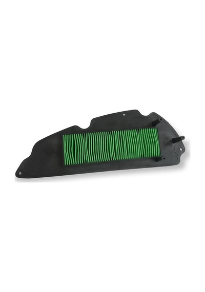 Forza 250 Hava Filtresi Fza250p106122
