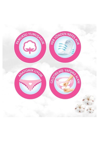 New Lady Hijyenik Ped Normal Tekli Paket 10'lu Ped