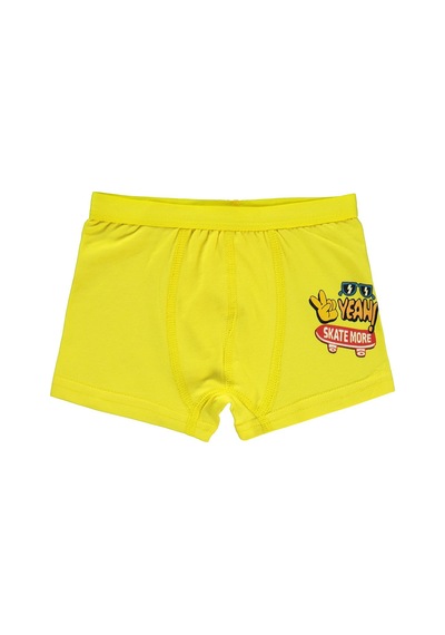 Civil Boys Funny 2-10 Yaş Erkek Çocuk 2'li Boxer - Standart