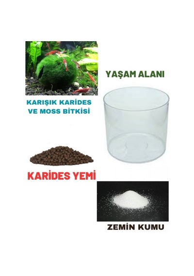 .karides Akvaryumu Yaşam Alanı Fanus+yemi+kum+karides Komple Se