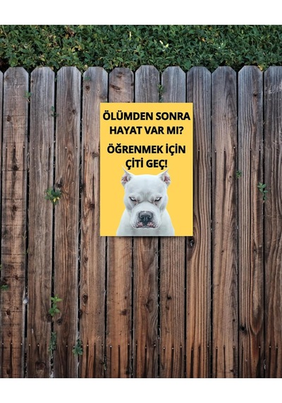 Glassify 3 Lü Dekoratif Köpek Var Uyarı Levhası Seti 25 X 35