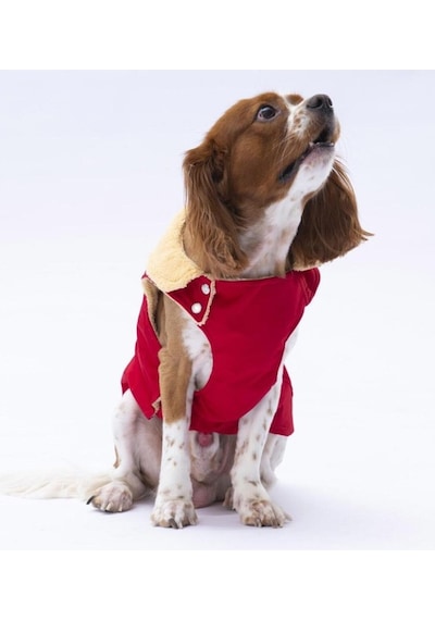 Pawstar Kırmızı Yukon Yelek Yağmurluk 2xl