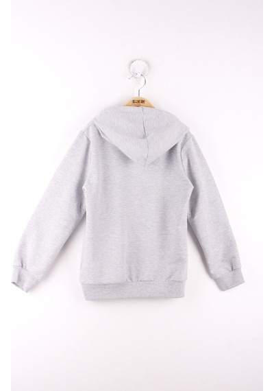 Toontoy Kids Toontoy Erkek Çocuk La Casa Baskılı Sweatshirt Gri Melanj