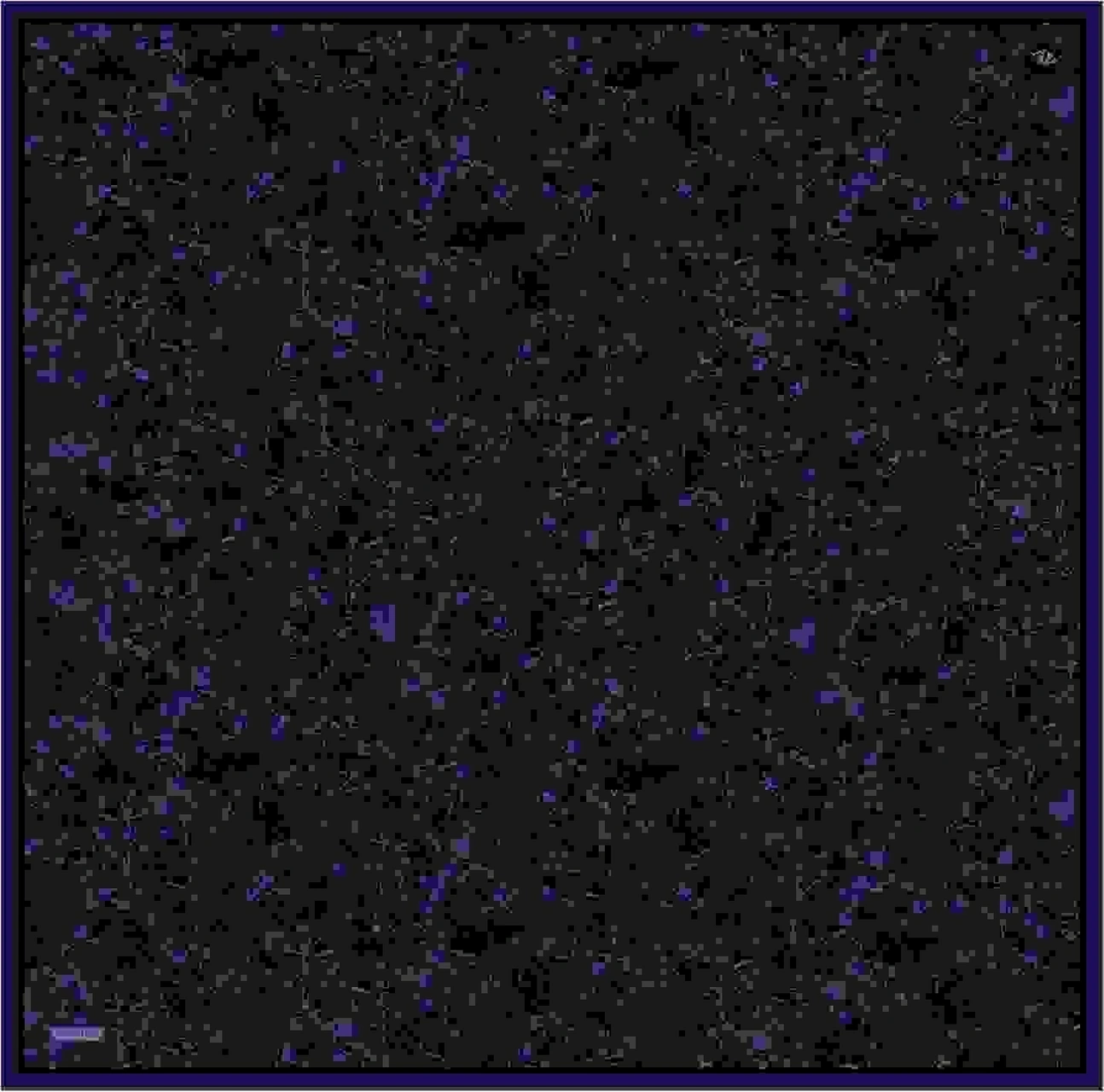 Armine Soyut Desenli Saf İpek Twill Eşarp 9311d 10 Laciver