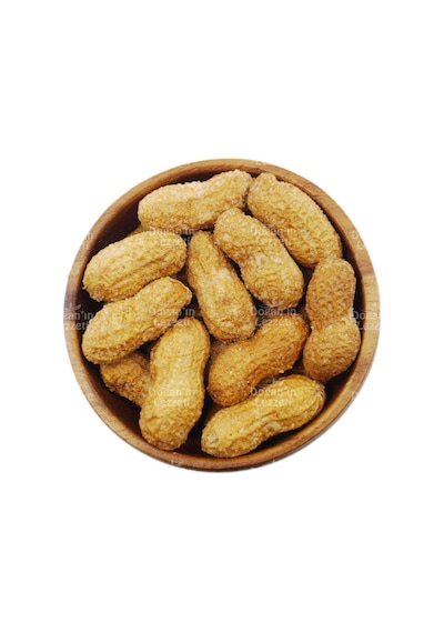 Doğan'ın Lezzeti Kabuklu Tuzlu Yer Fıstığı 500 G