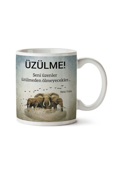 Nebi Yıldız Üzülme İki Tarafı Baskılı Kupa Bardak Çok Renkli