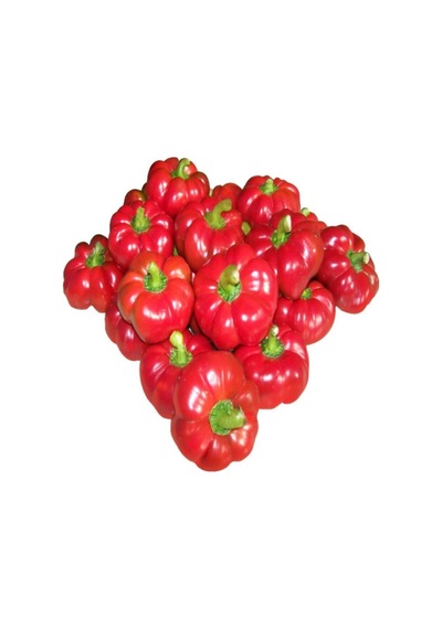 Peynir Biberi Tohumu / 10+tohum