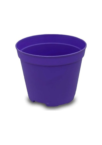 Katı Plastik Sukulent Saksısı 20 Adet Koyu Mor 5.5 Cm